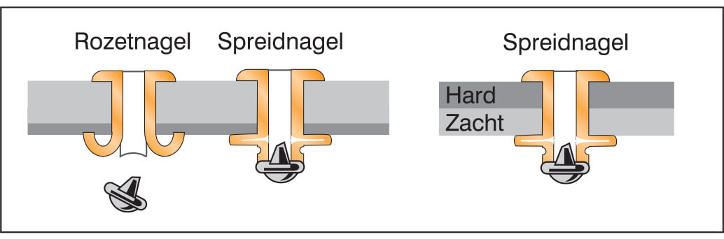 Spreidnagels en rozetnagels